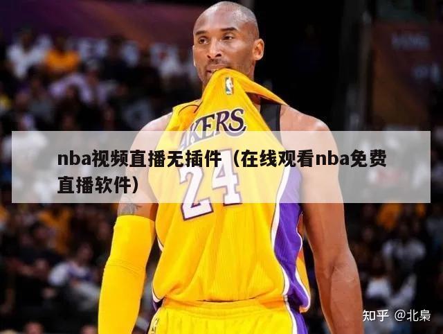 nba视频直播无插件（在线观看nba免费直播软件）