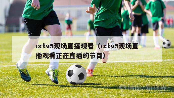 cctv5现场直播观看（cctv5现场直播观看正在直播的节目）